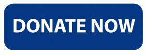 Donate button