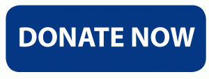 image of donate now button